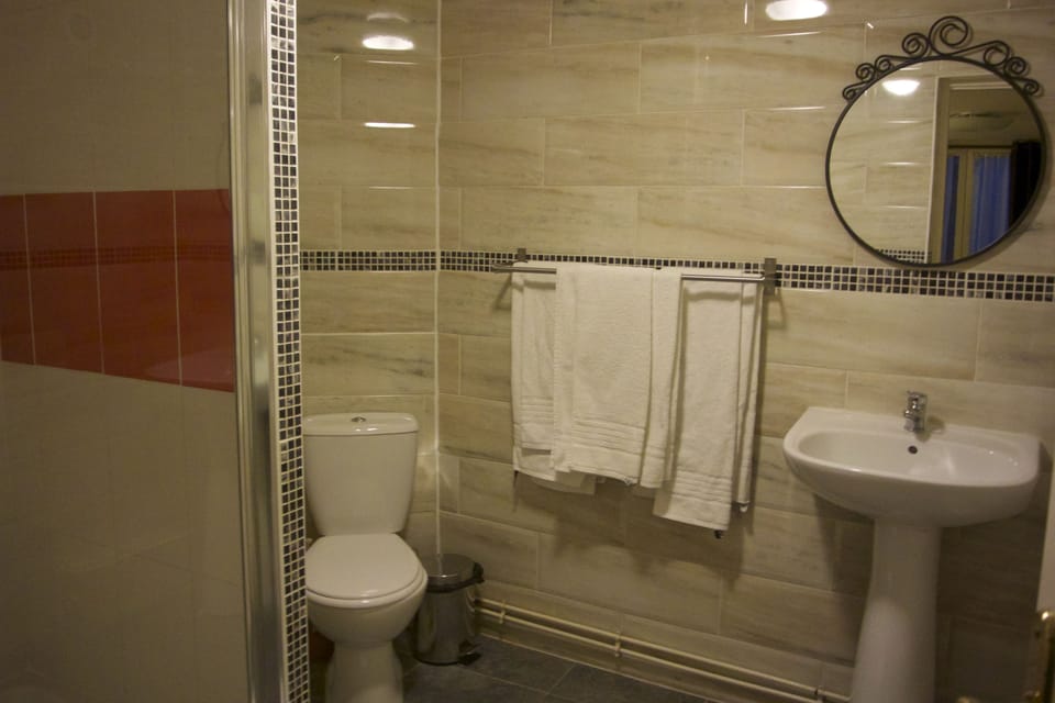 Shower, free toiletries, hair dryer, towels