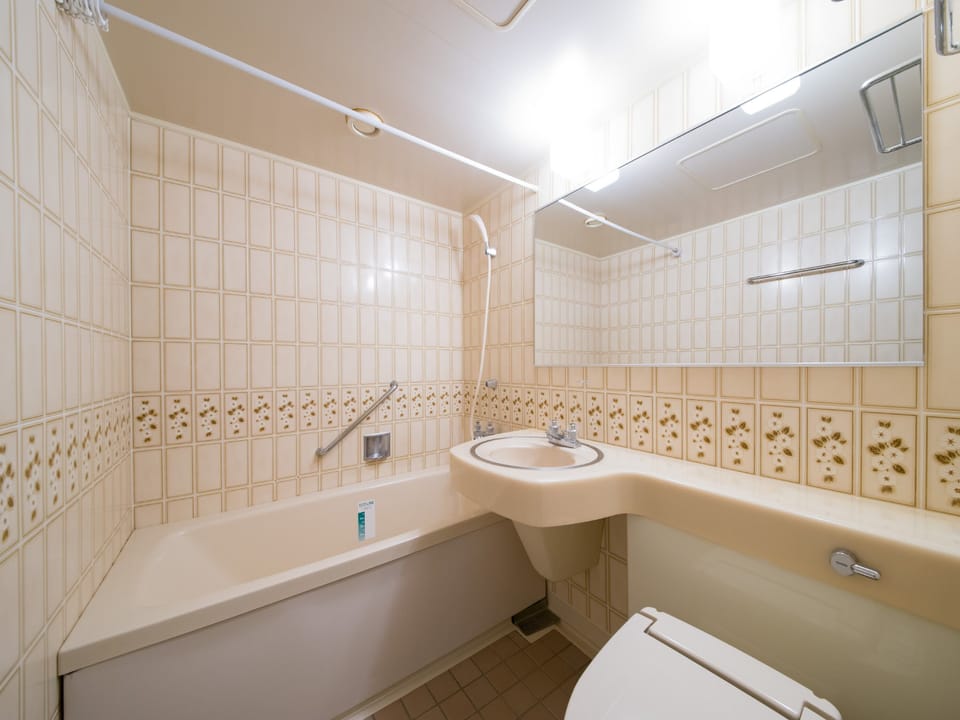 Combined shower/tub, free toiletries, hair dryer, slippers