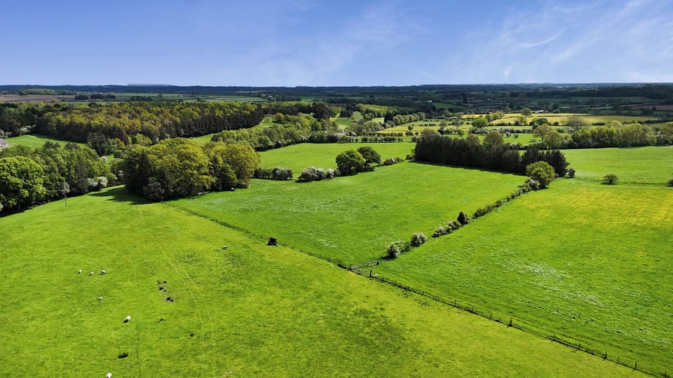 Cottage | Aerial view
