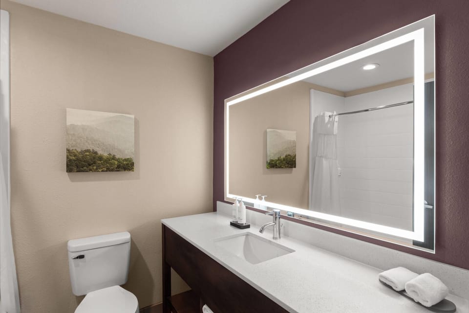 Combined shower/tub, free toiletries, hair dryer, towels