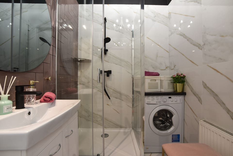 Apartment | Bathroom | Shower, hair dryer, soap, shampoo