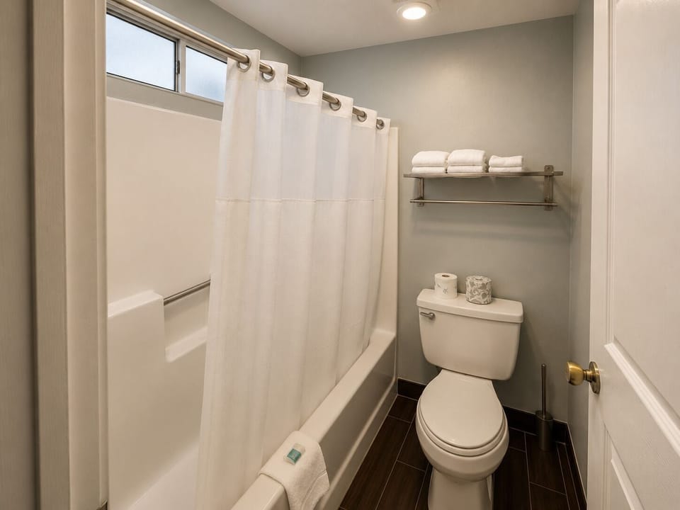 Combined shower/tub, free toiletries, hair dryer, towels