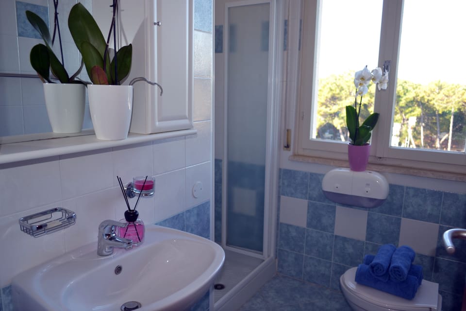 Shower, rainfall showerhead, hair dryer, slippers