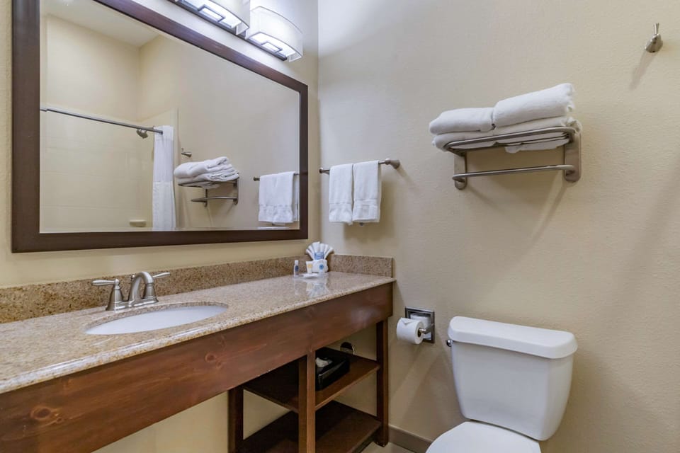 Standard Room, 1 King Bed, Non Smoking | Bathroom | Combined shower/tub, deep soaking tub, free toiletries, hair dryer