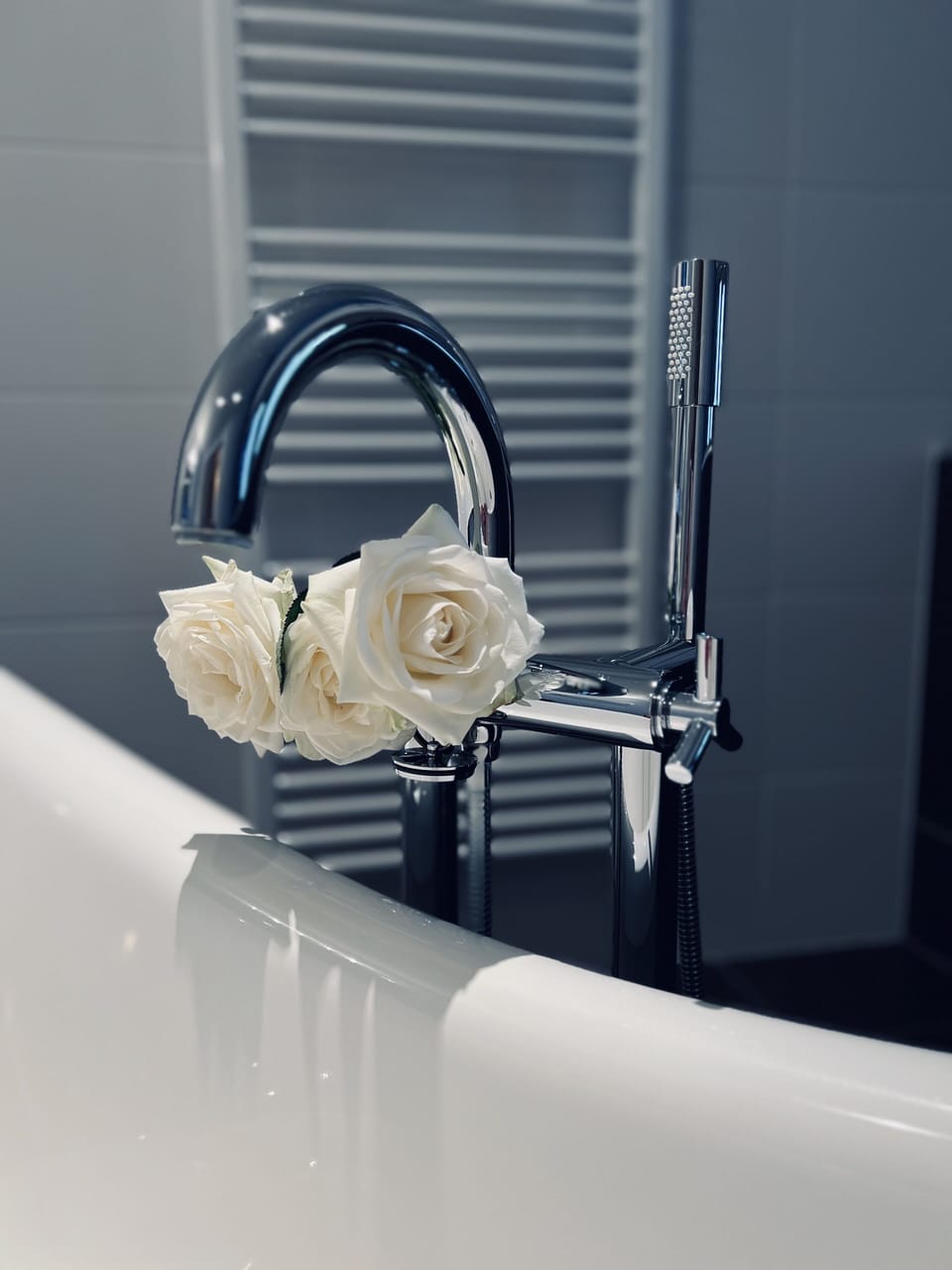 Deluxe Double Room | Bathroom | Designer toiletries, hair dryer, bathrobes, towels