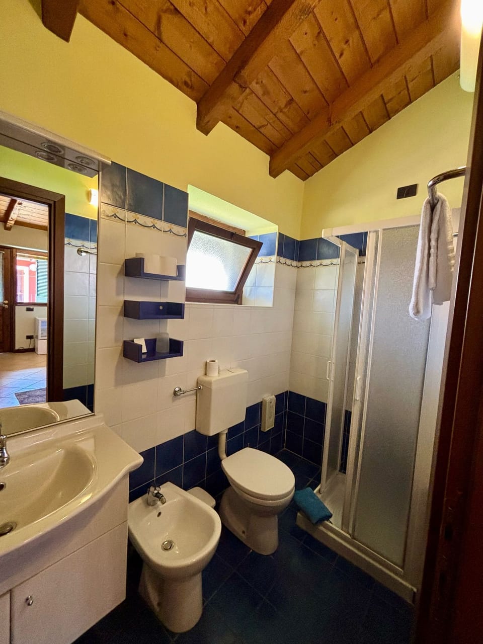 Single Room | Bathroom | Shower, hair dryer, bidet