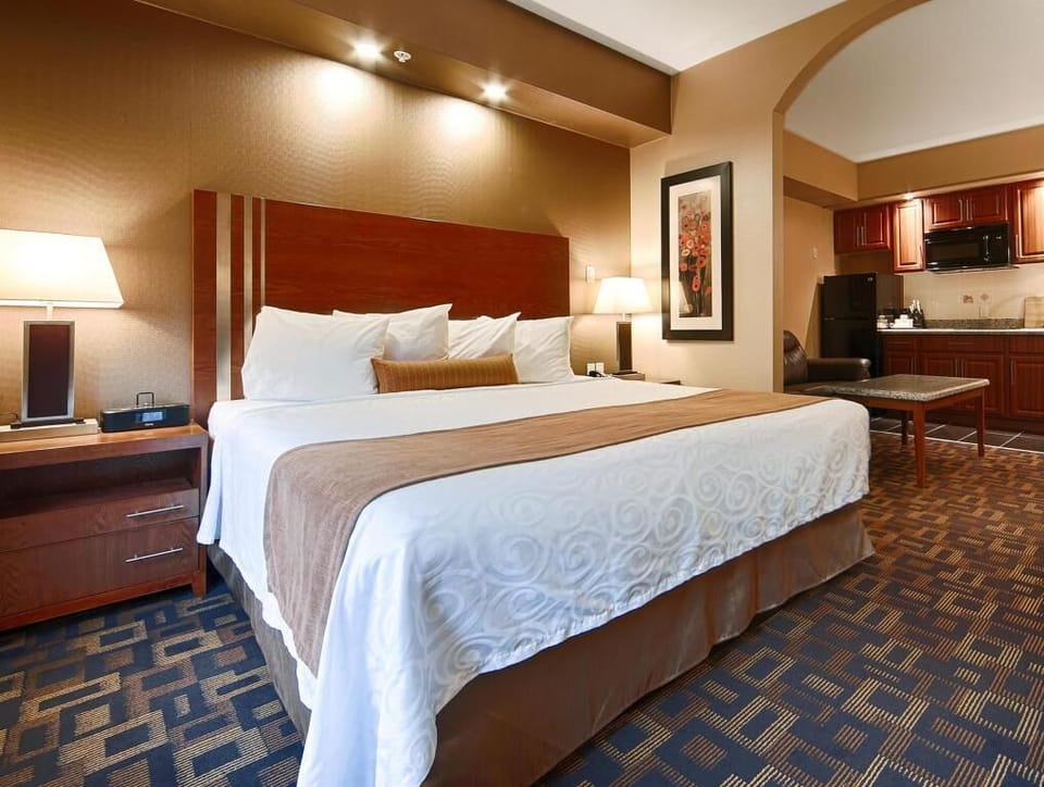 Room, 1 King Bed, Non Smoking (Efficiency) | In-room safe, desk, iron/ironing board, WiFi (free)