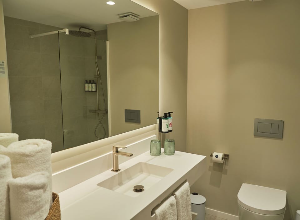 Shower, free toiletries, hair dryer, slippers