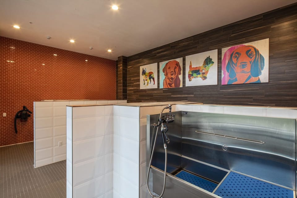 Pet-friendly amenities