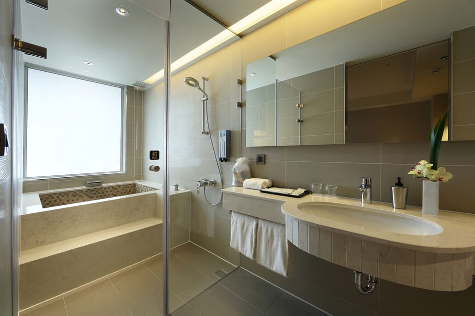 Deluxe Double Room | Bathroom | Shower, hair dryer, slippers, towels