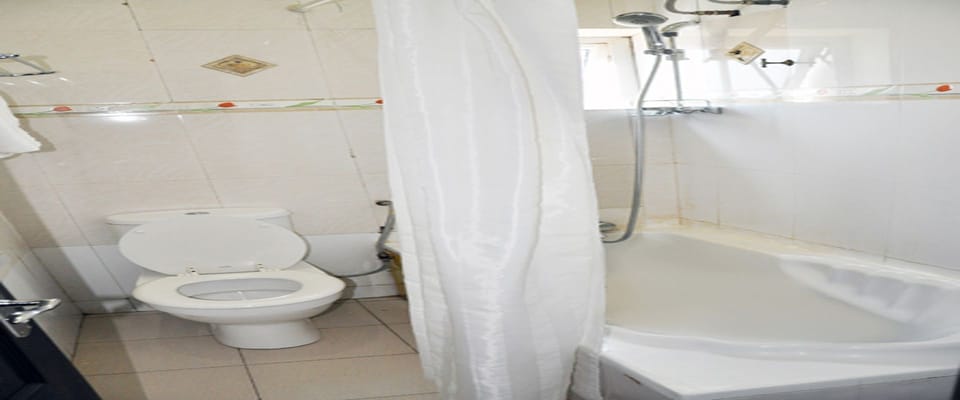 Combined shower/tub, deep soaking tub, free toiletries, towels