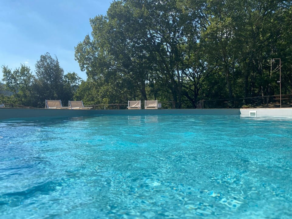 House | Pool | Indoor pool, outdoor pool