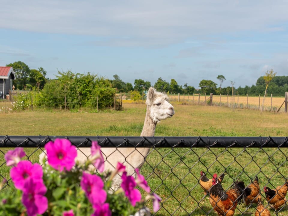 House | View from property