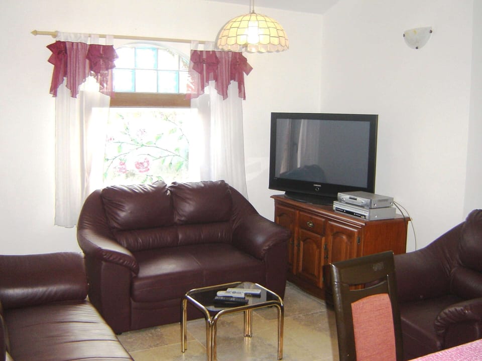 House | Living room | TV, fireplace