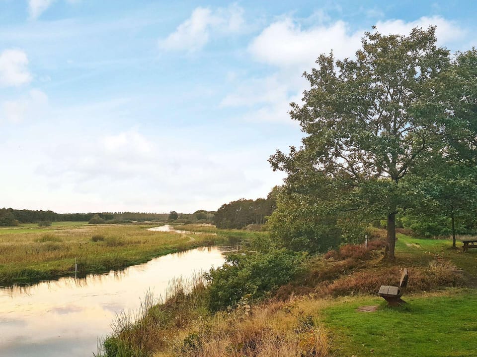 House | Miscellaneous