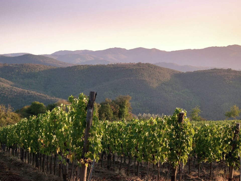 Villa | View from property