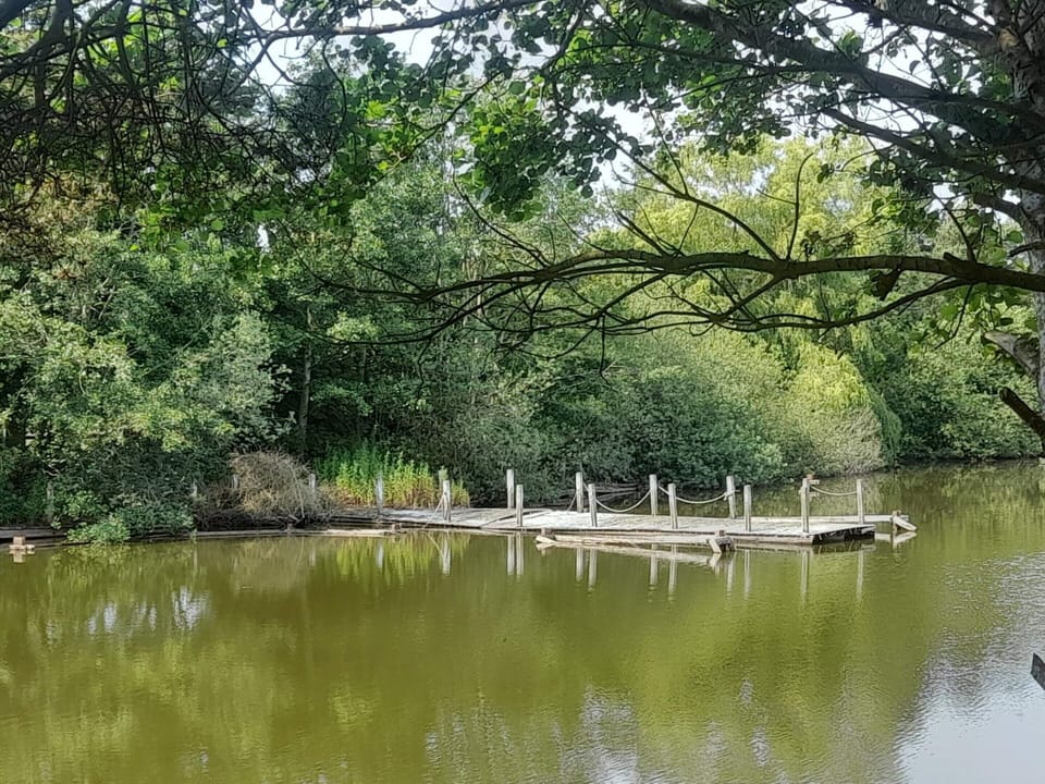 House | Water view
