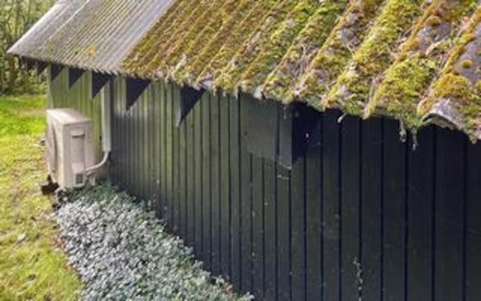 House | Property grounds