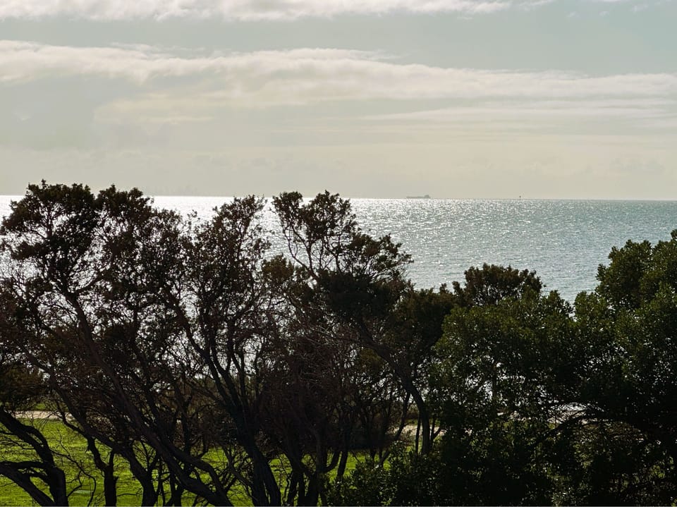 Haven Suite | View from room