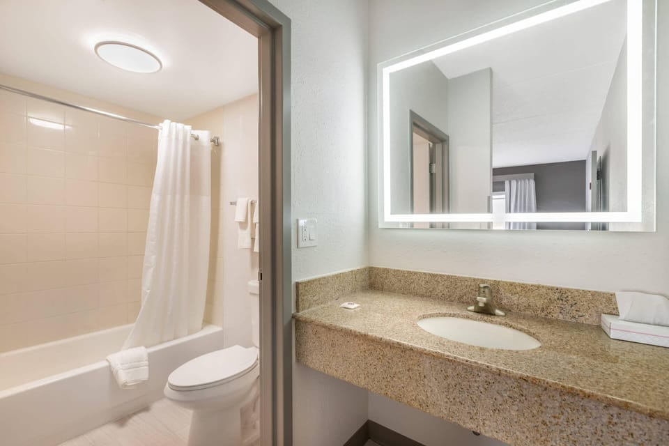 Suite, 1 King Bed with Sofa bed, Non Smoking | Hypo-allergenic bedding available, iron/ironing board, WiFi (free)