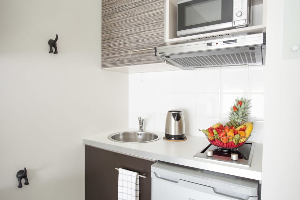 Studio | Private kitchen | Fridge, microwave, electric kettle, cookware/dishes/utensils