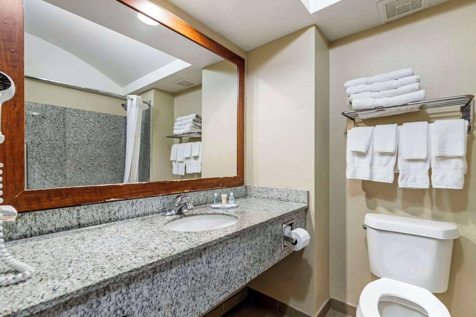 Standard Studio Suite, Multiple Beds, Non Smoking | Desk, blackout drapes, soundproofing, iron/ironing board