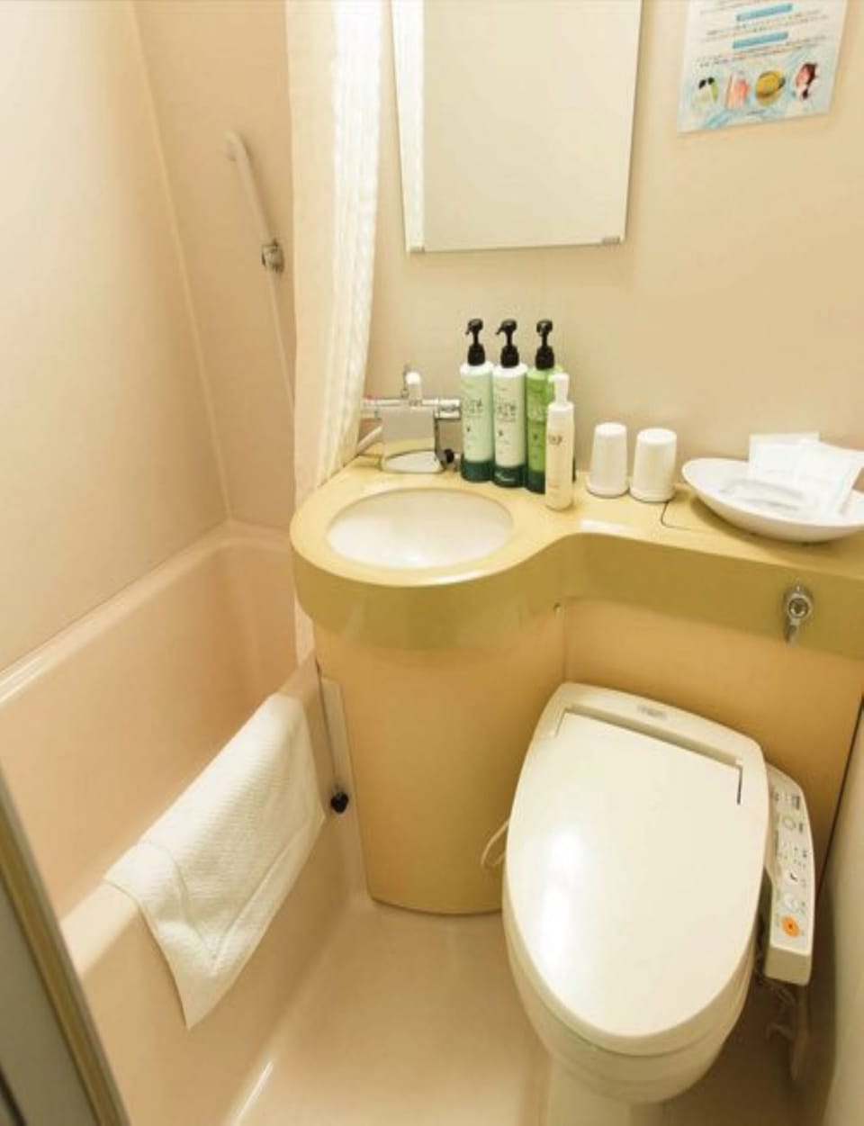 Combined shower/tub, hair dryer, slippers, electronic bidet