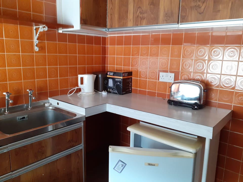 Apartment | Private kitchen | Fridge, microwave, oven, stovetop