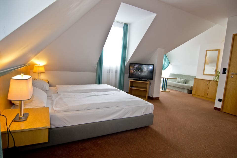 Standard Double Room | Minibar, desk, blackout drapes, soundproofing