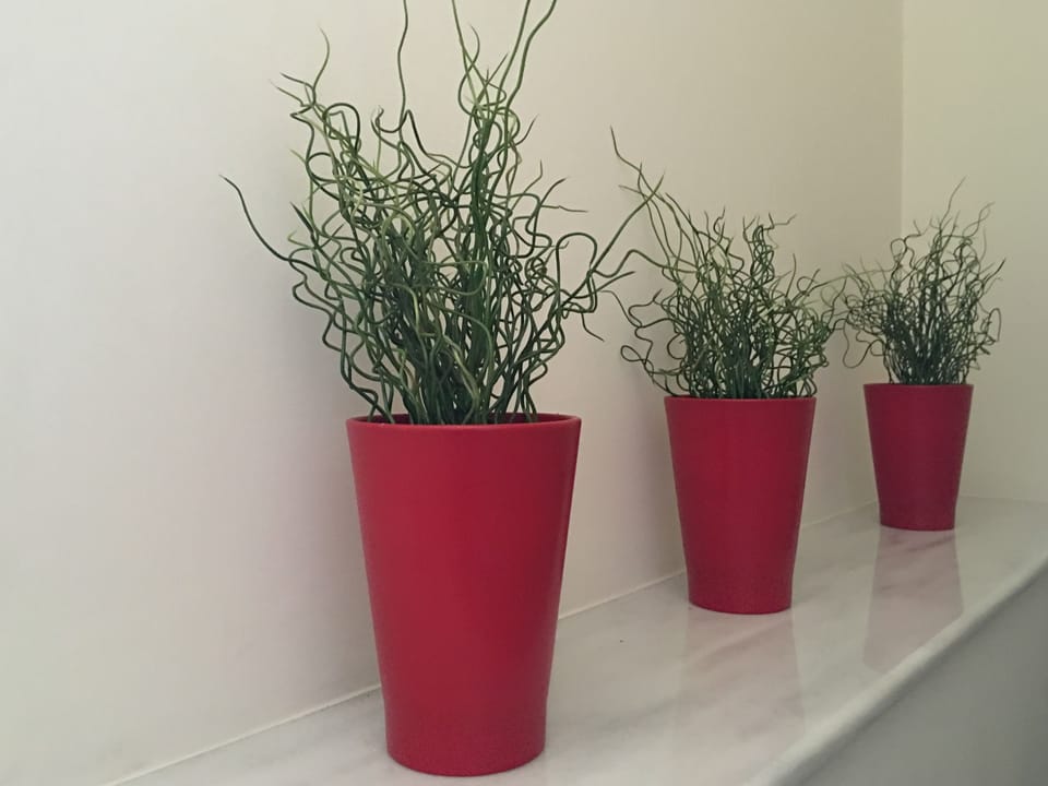 Daily continental breakfast (EUR 10 per person)