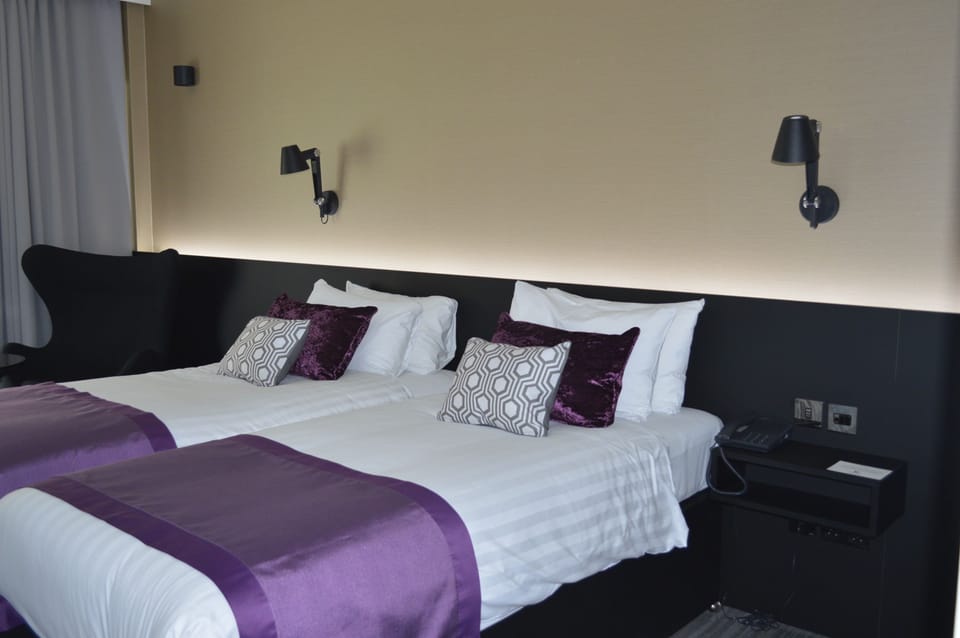 Deluxe Twin Room | Desk, laptop workspace, blackout drapes, iron/ironing board