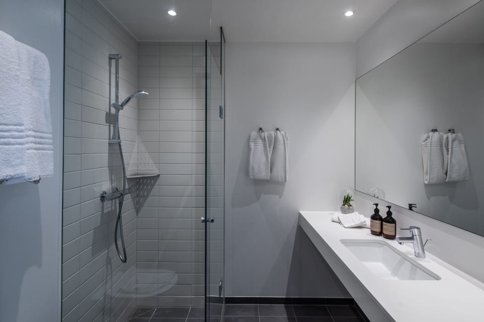 Shower, free toiletries, hair dryer, towels