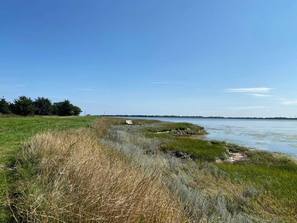 House | Water view