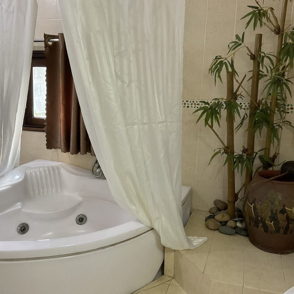 VIP Suite | Bathroom | Free toiletries, slippers, towels, soap