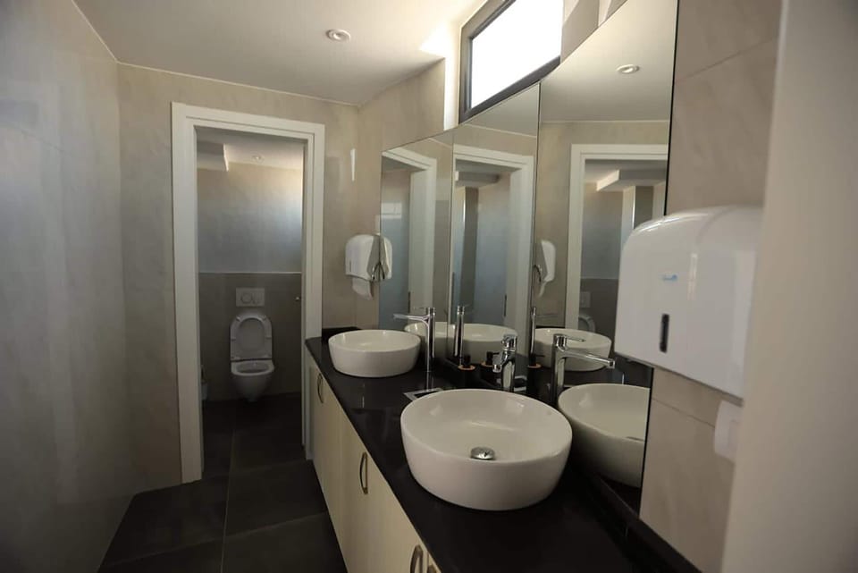 Hair dryer, bidet, towels