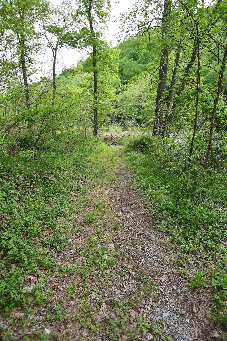 Cabin, 1 King Bed (River  Walk  Cottage - Romantic Escap) | Property grounds