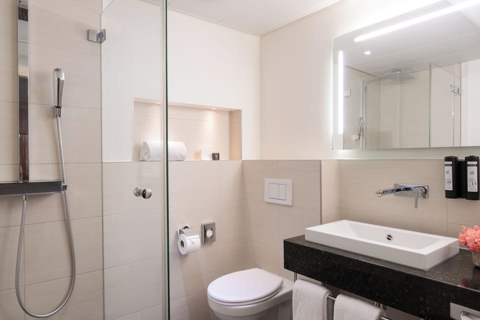 Free toiletries, hair dryer, towels