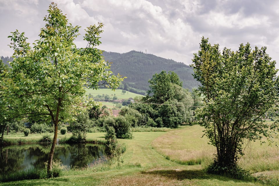 Land view from property