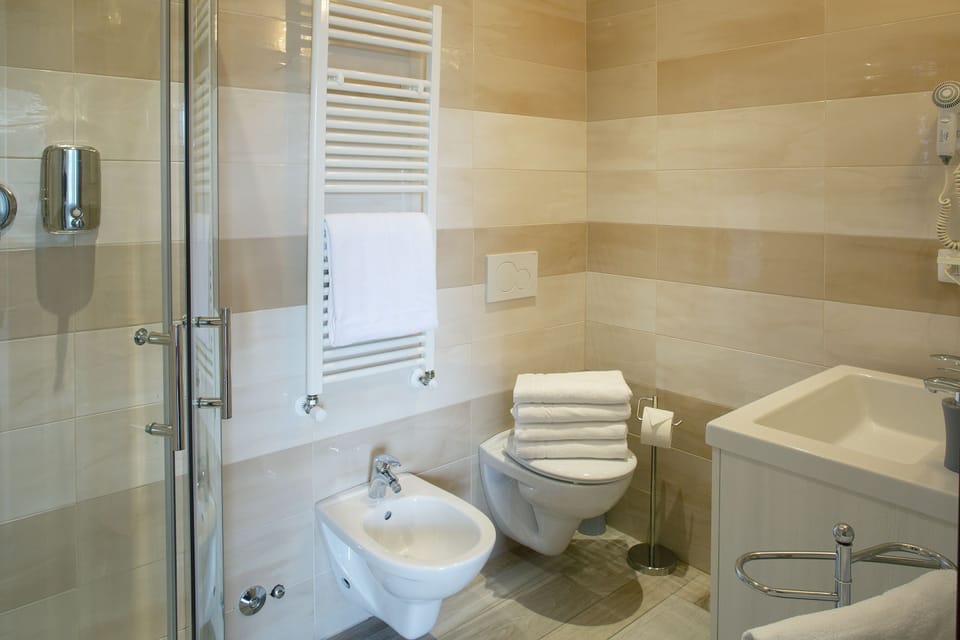 Shower, hair dryer, bidet, towels