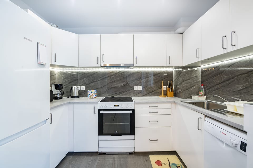Family Apartment, 2 Bedrooms, Non Smoking, City View | Private kitchen | Full-size fridge, oven, stovetop, dishwasher