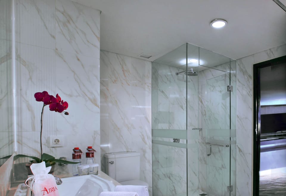 Shower, free toiletries, hair dryer, slippers
