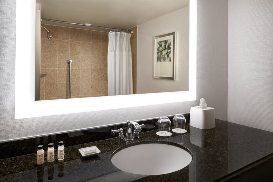 Combined shower/tub, free toiletries, hair dryer, towels