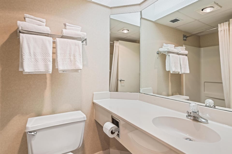 Free toiletries, hair dryer, towels