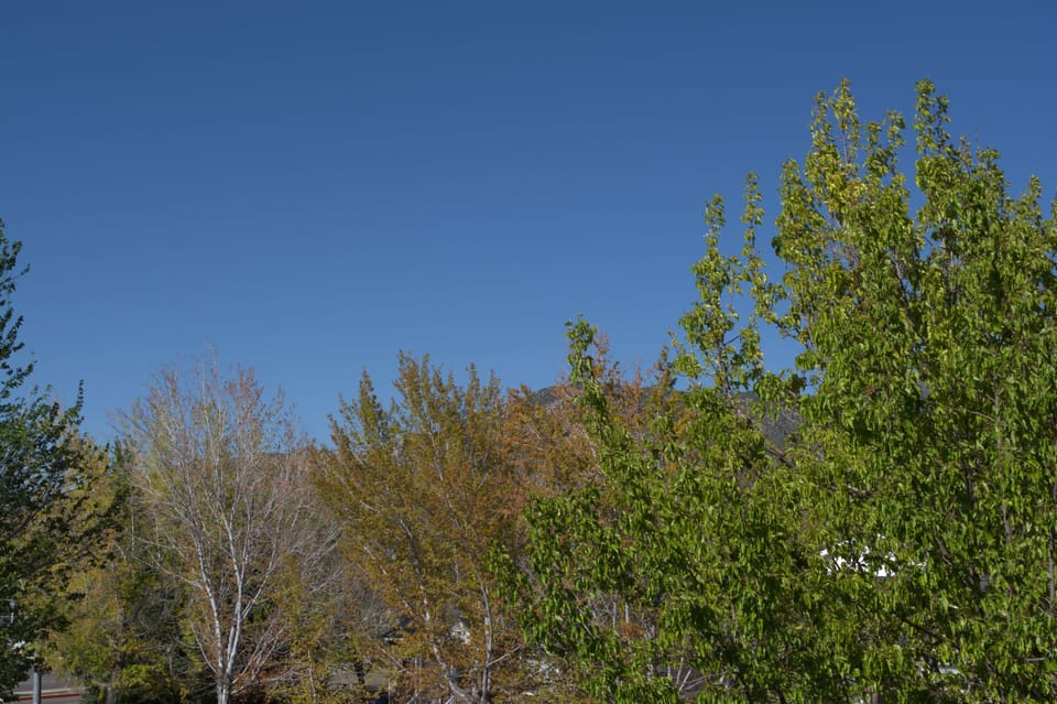 View from property