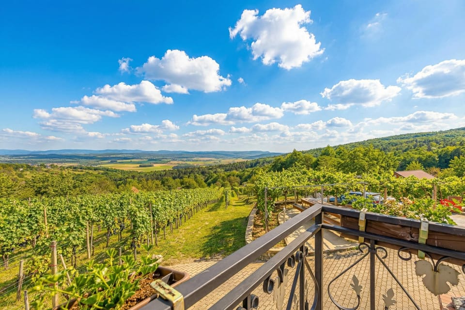 Standard House, 5 Bedrooms, 2 Bathrooms, Mountainside (Vrtin Vineyard Family Retreat) | Property grounds