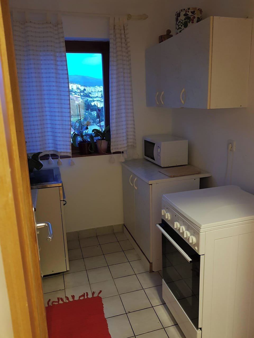 Studio (A1) | Private kitchen | Fridge, microwave, oven, dishwasher