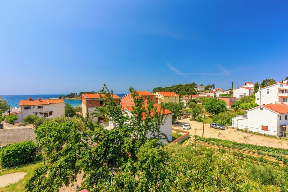 House | Aerial view