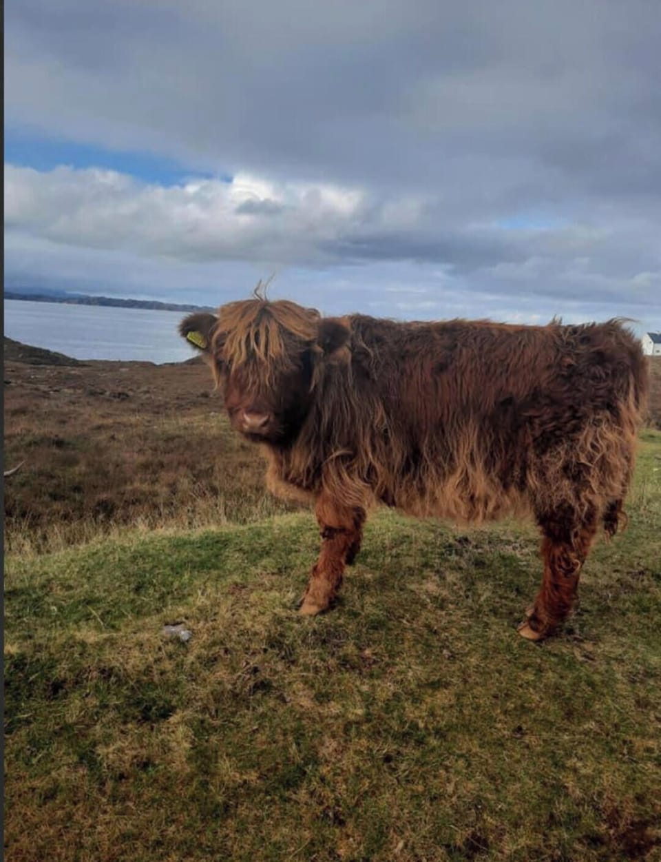 Cabin | Miscellaneous