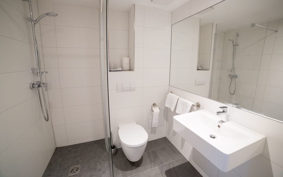 Shower, towels, soap, toilet paper