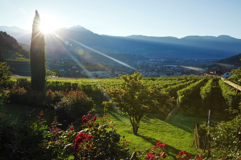 Comfort Double Room | View from room